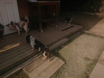 f:id:roukenhome-ann:20190718122907j:plain f:id:roukenhome-ann:20190718122907j:plain