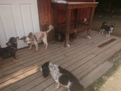 f:id:roukenhome-ann:20190718122911j:plain f:id:roukenhome-ann:20190718122911j:plain