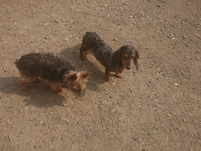 f:id:roukenhome-ann:20190718122922j:plain f:id:roukenhome-ann:20190718122922j:plain