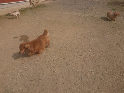 f:id:roukenhome-ann:20190718122927j:plain f:id:roukenhome-ann:20190718122927j:plain