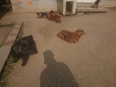 f:id:roukenhome-ann:20190718122931j:plain f:id:roukenhome-ann:20190718122931j:plain