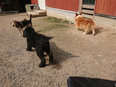 f:id:roukenhome-ann:20190718122937j:plain f:id:roukenhome-ann:20190718122937j:plain