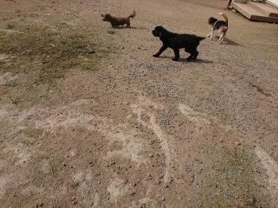 f:id:roukenhome-ann:20190718122942j:plain f:id:roukenhome-ann:20190718122942j:plain