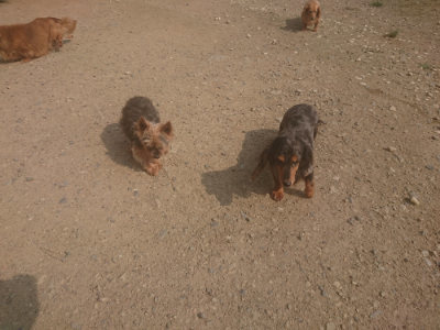 f:id:roukenhome-ann:20190718122947j:plain f:id:roukenhome-ann:20190718122947j:plain