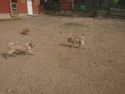 f:id:roukenhome-ann:20190718122952j:plain f:id:roukenhome-ann:20190718122952j:plain