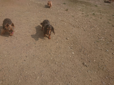 f:id:roukenhome-ann:20190718123007j:plain f:id:roukenhome-ann:20190718123007j:plain