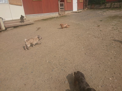 f:id:roukenhome-ann:20190718123011j:plain f:id:roukenhome-ann:20190718123011j:plain