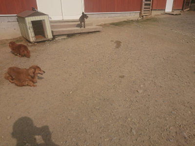 f:id:roukenhome-ann:20190718123015j:plain f:id:roukenhome-ann:20190718123015j:plain