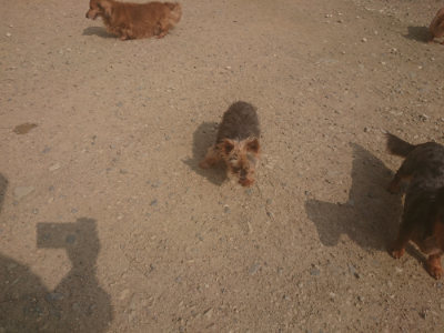 f:id:roukenhome-ann:20190718123025j:plain f:id:roukenhome-ann:20190718123025j:plain