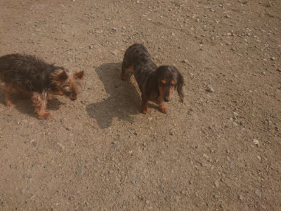 f:id:roukenhome-ann:20190718123030j:plain f:id:roukenhome-ann:20190718123030j:plain
