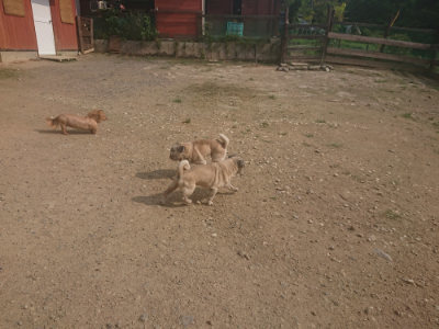 f:id:roukenhome-ann:20190718123035j:plain f:id:roukenhome-ann:20190718123035j:plain