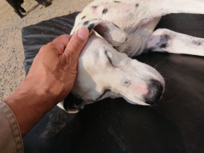 f:id:roukenhome-ann:20190718123042j:plain f:id:roukenhome-ann:20190718123042j:plain