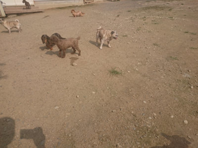 f:id:roukenhome-ann:20190718123102j:plain f:id:roukenhome-ann:20190718123102j:plain
