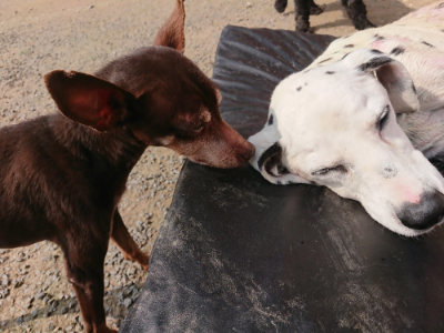 f:id:roukenhome-ann:20190718123109j:plain f:id:roukenhome-ann:20190718123109j:plain