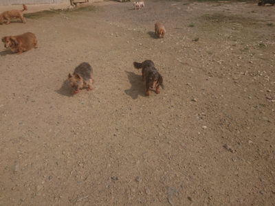 f:id:roukenhome-ann:20190718123119j:plain f:id:roukenhome-ann:20190718123119j:plain
