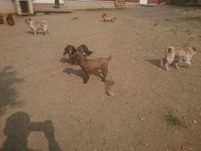 f:id:roukenhome-ann:20190718123124j:plain f:id:roukenhome-ann:20190718123124j:plain