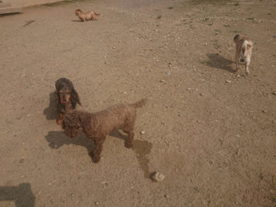 f:id:roukenhome-ann:20190718123129j:plain f:id:roukenhome-ann:20190718123129j:plain