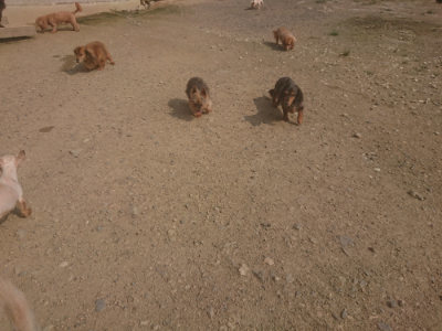 f:id:roukenhome-ann:20190718123149j:plain f:id:roukenhome-ann:20190718123149j:plain