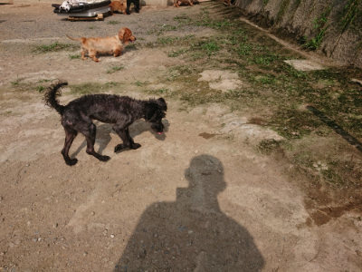 f:id:roukenhome-ann:20190718123206j:plain f:id:roukenhome-ann:20190718123206j:plain