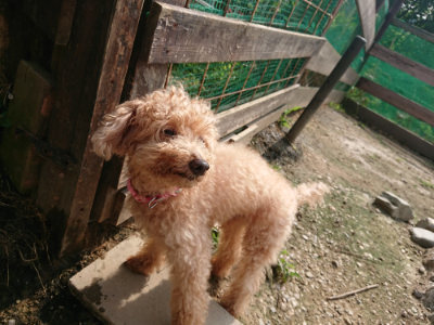 f:id:roukenhome-ann:20190718123219j:plain f:id:roukenhome-ann:20190718123219j:plain