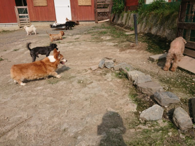 f:id:roukenhome-ann:20190718123236j:plain f:id:roukenhome-ann:20190718123236j:plain
