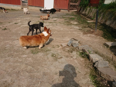 f:id:roukenhome-ann:20190718123242j:plain f:id:roukenhome-ann:20190718123242j:plain