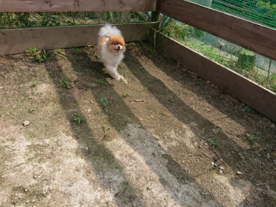 f:id:roukenhome-ann:20190718123302j:plain f:id:roukenhome-ann:20190718123302j:plain