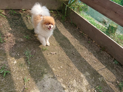 f:id:roukenhome-ann:20190718123308j:plain f:id:roukenhome-ann:20190718123308j:plain