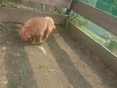 f:id:roukenhome-ann:20190718123433j:plain f:id:roukenhome-ann:20190718123433j:plain