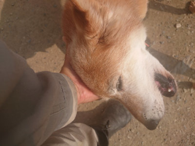 f:id:roukenhome-ann:20190718123437j:plain f:id:roukenhome-ann:20190718123437j:plain