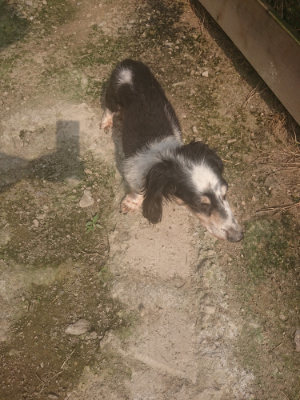f:id:roukenhome-ann:20190718123441j:plain f:id:roukenhome-ann:20190718123441j:plain