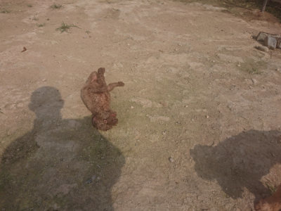 f:id:roukenhome-ann:20190718123445j:plain f:id:roukenhome-ann:20190718123445j:plain
