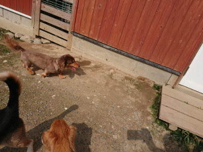 f:id:roukenhome-ann:20190718123456j:plain f:id:roukenhome-ann:20190718123456j:plain