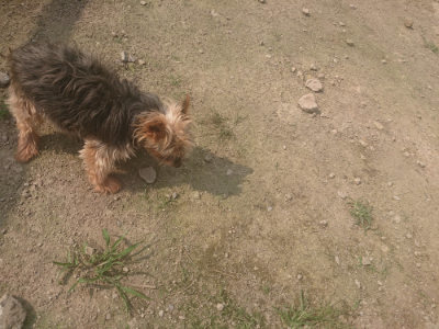 f:id:roukenhome-ann:20190718123502j:plain f:id:roukenhome-ann:20190718123502j:plain