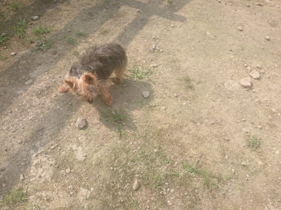 f:id:roukenhome-ann:20190718123527j:plain f:id:roukenhome-ann:20190718123527j:plain