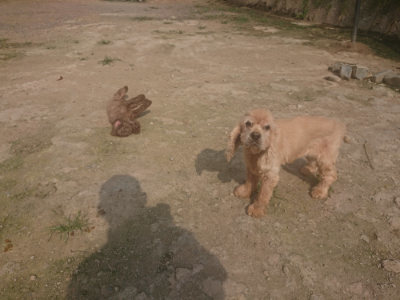 f:id:roukenhome-ann:20190718123547j:plain f:id:roukenhome-ann:20190718123547j:plain