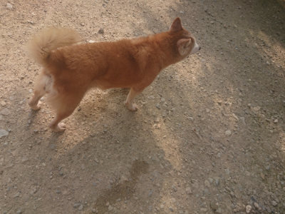 f:id:roukenhome-ann:20190718123552j:plain f:id:roukenhome-ann:20190718123552j:plain