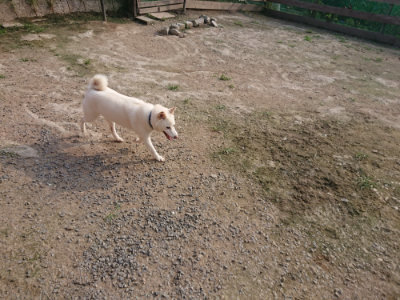 f:id:roukenhome-ann:20190718123557j:plain f:id:roukenhome-ann:20190718123557j:plain