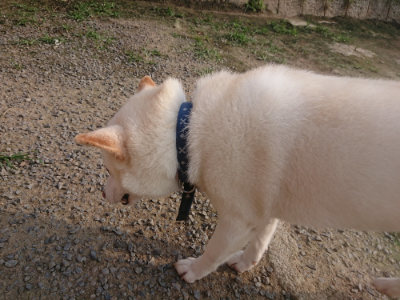 f:id:roukenhome-ann:20190718123617j:plain f:id:roukenhome-ann:20190718123617j:plain