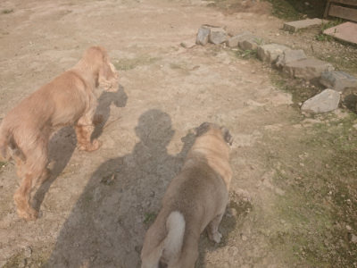 f:id:roukenhome-ann:20190718123627j:plain f:id:roukenhome-ann:20190718123627j:plain
