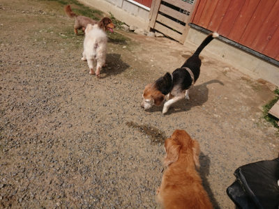 f:id:roukenhome-ann:20190718123648j:plain f:id:roukenhome-ann:20190718123648j:plain