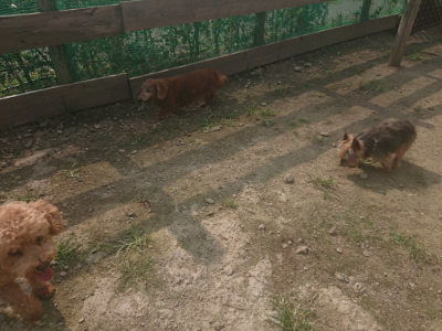 f:id:roukenhome-ann:20190718123652j:plain f:id:roukenhome-ann:20190718123652j:plain