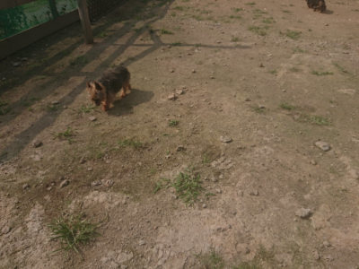 f:id:roukenhome-ann:20190718123717j:plain f:id:roukenhome-ann:20190718123717j:plain
