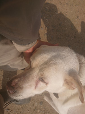 f:id:roukenhome-ann:20190718123724j:plain f:id:roukenhome-ann:20190718123724j:plain
