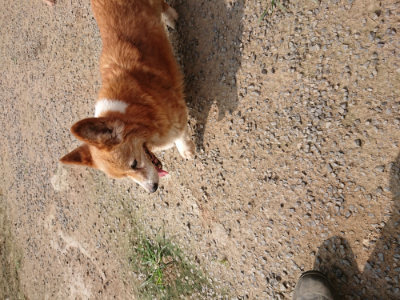 f:id:roukenhome-ann:20190718123735j:plain f:id:roukenhome-ann:20190718123735j:plain