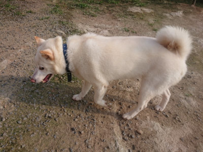 f:id:roukenhome-ann:20190718123750j:plain f:id:roukenhome-ann:20190718123750j:plain