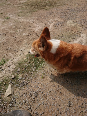 f:id:roukenhome-ann:20190718123816j:plain f:id:roukenhome-ann:20190718123816j:plain