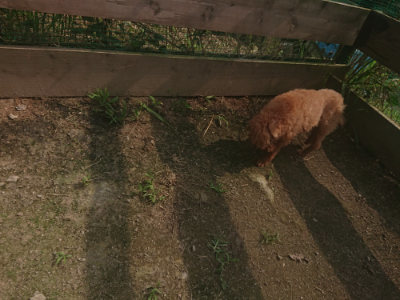 f:id:roukenhome-ann:20190718123823j:plain f:id:roukenhome-ann:20190718123823j:plain