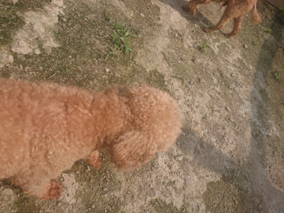 f:id:roukenhome-ann:20190718123829j:plain f:id:roukenhome-ann:20190718123829j:plain