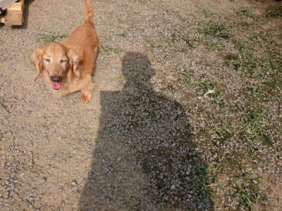 f:id:roukenhome-ann:20190718123839j:plain f:id:roukenhome-ann:20190718123839j:plain
